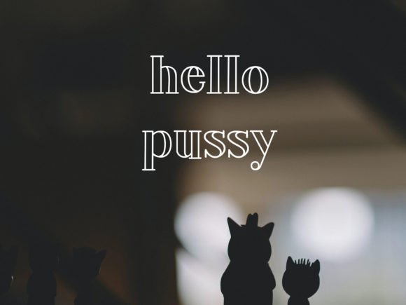 Hachi: A Display Font That Feels Like Your Best Creative Idea